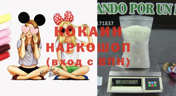 дживик Наволоки